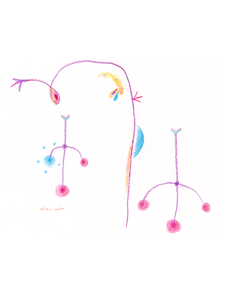 あかり・The Light