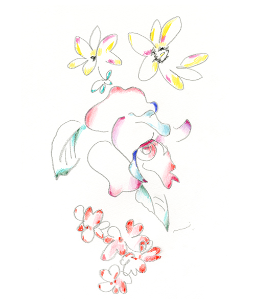 ありがとうの花束