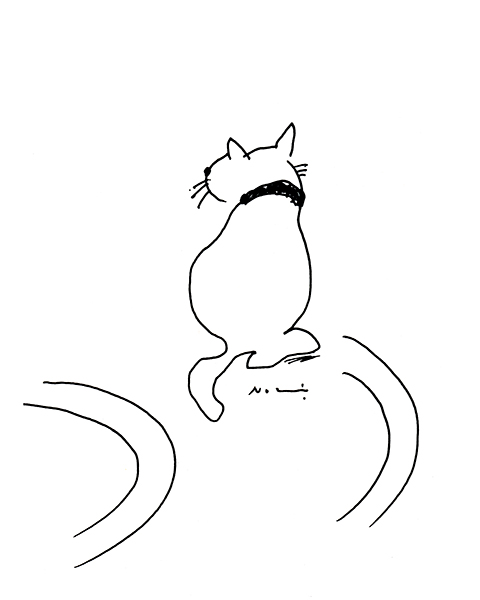 朝に出会ったネコ