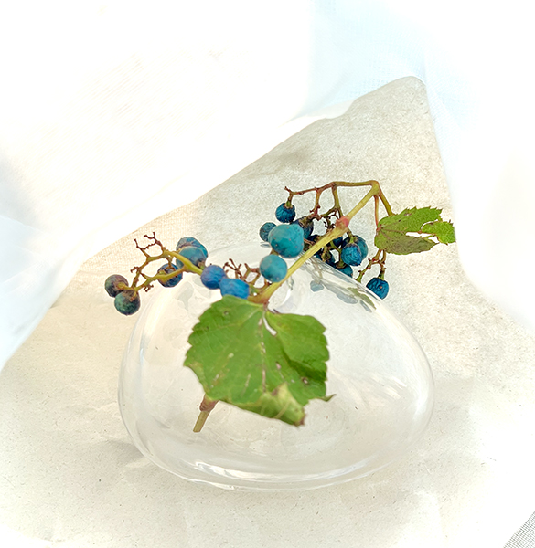 1日たつと、ブルーの実になりました。