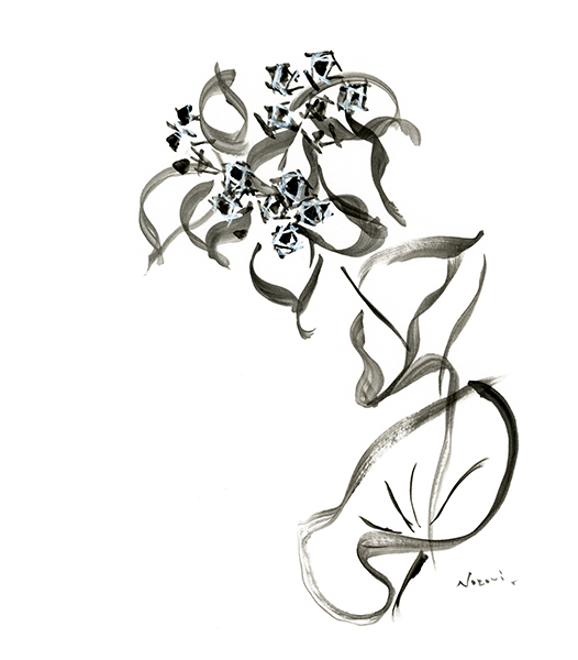 ブプレリューム 2021・The Bupleurum 2021