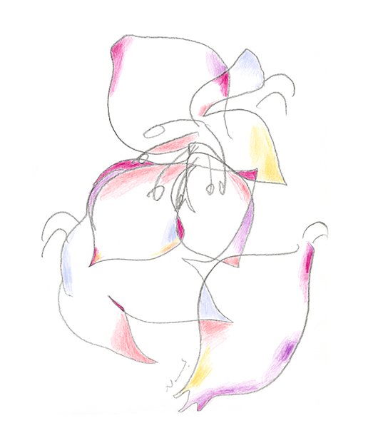 クリスマスローズ 2025