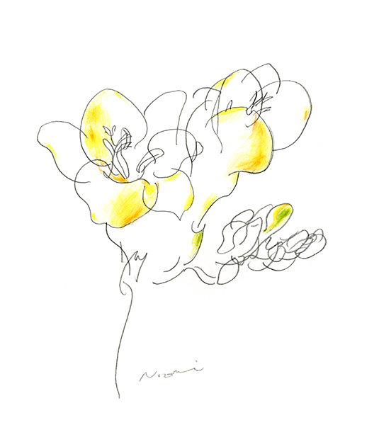 The Freesia in the Morning