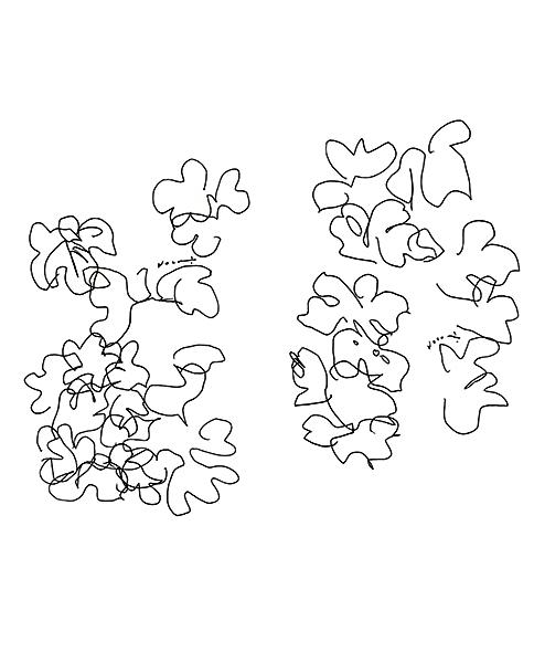 葉のかたち・The Shapes of Leaves