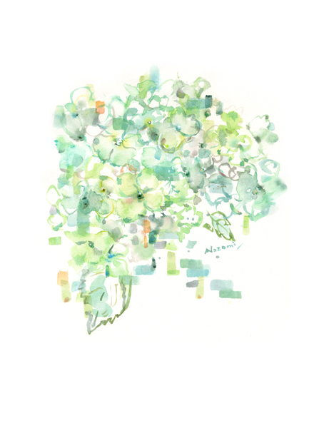 ひだまりの紫陽花