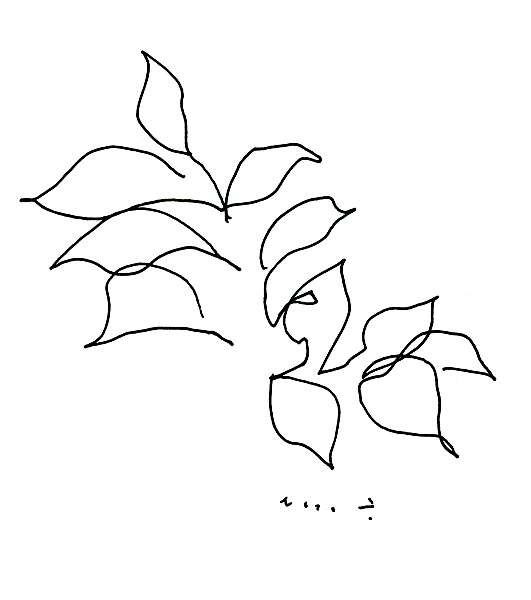 My Holidayより、Leaves