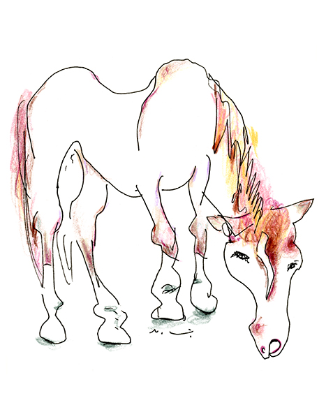 お馬さん・The Horse