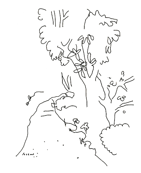 いつもの道・The Usual Way