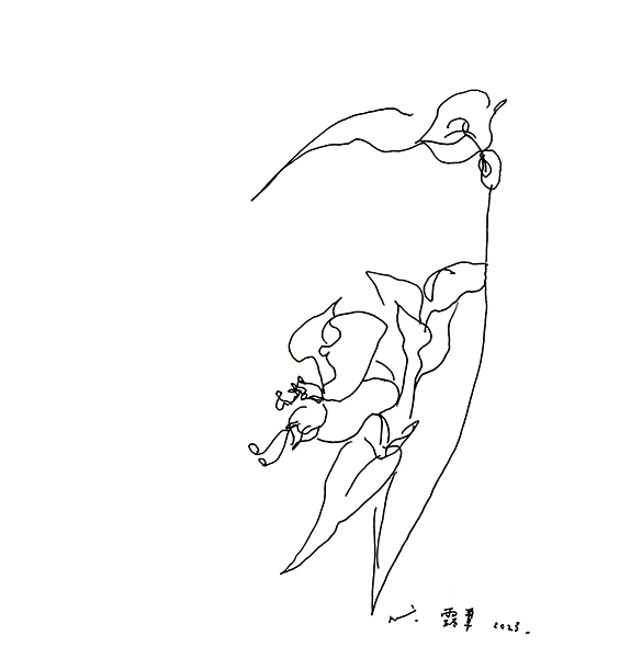 桔梗ヶ丘の庭の露草・Commelina communis