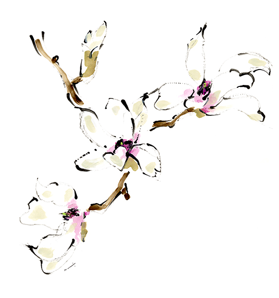 コブシマグノリア