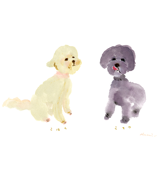 琥珀くんと虎徹くん