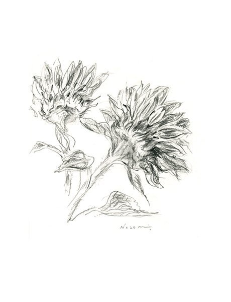  ちいさな向日葵（back）