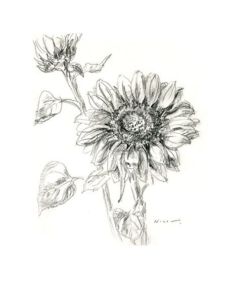 ちいさな向日葵（front）