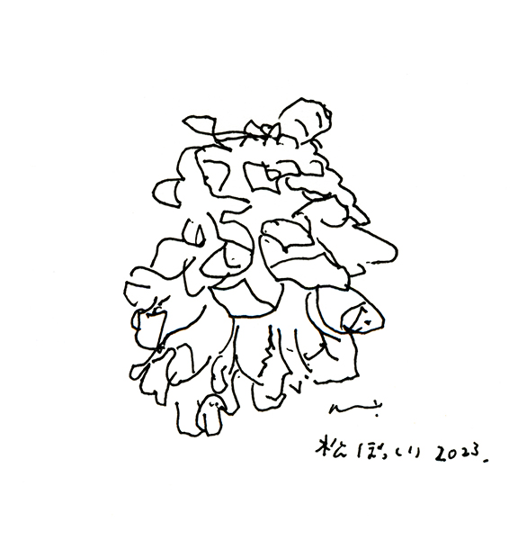 松ぼっくり・A Pine Cone