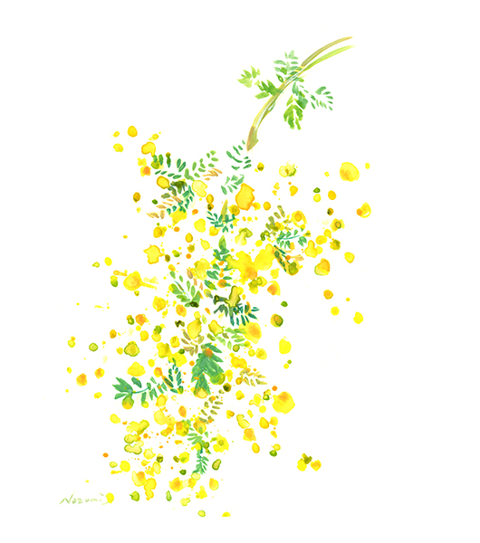 ミモザ・The Mimosa 2022