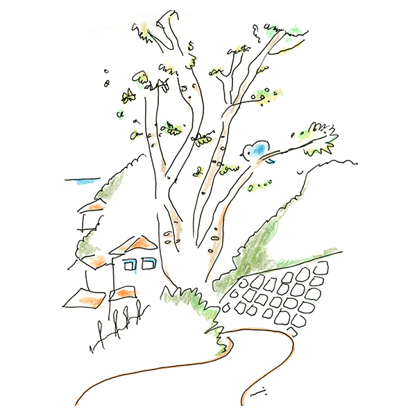 のどかな、ひかり