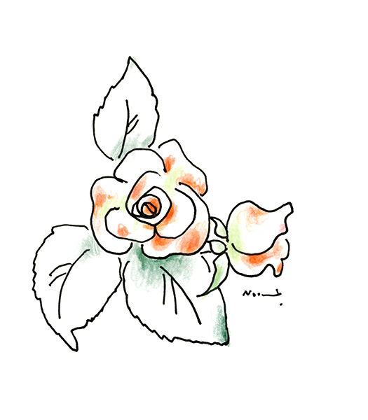 オレンジ色のミニローズ・The Orange Miniature Rose