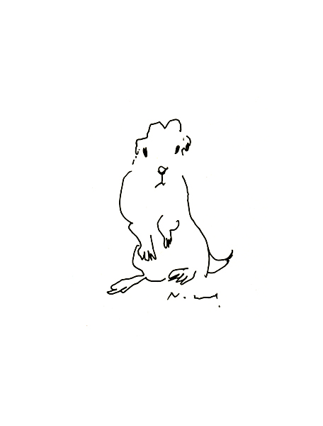 プレイリードッグ