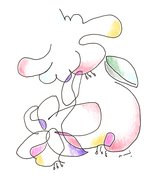 プルリルぴっこりんのお花