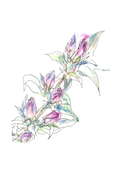 りんどうBeautiful