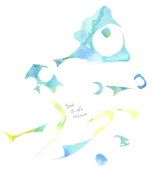 Seabirds・海を泳ぐ、鳥