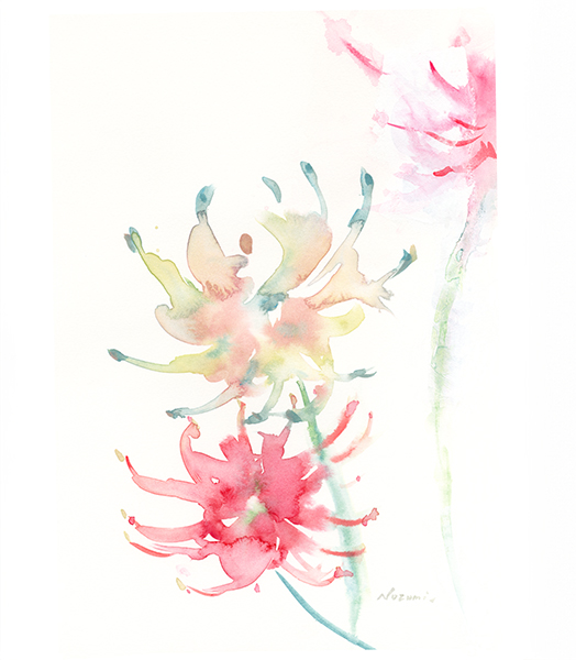 白と赤の彼岸花