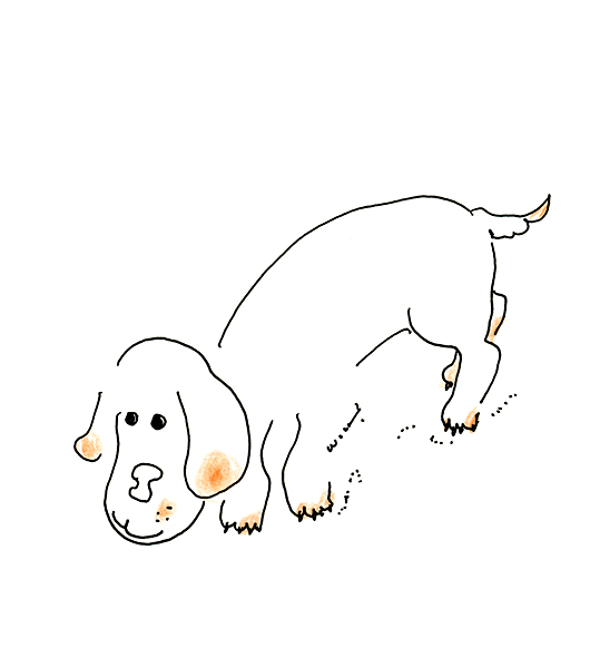 くんくん・sniff-sniff