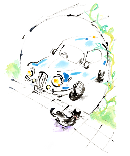 空色の、くるま