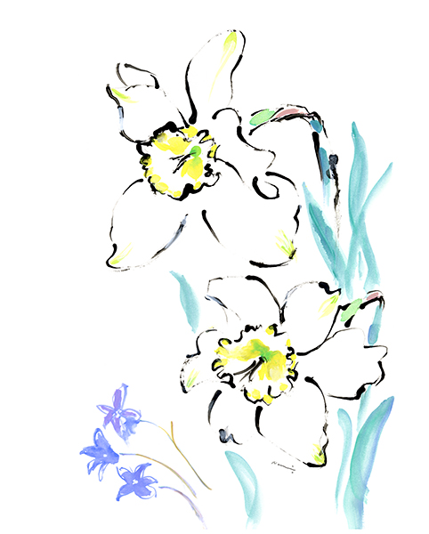 ラッパスイセン