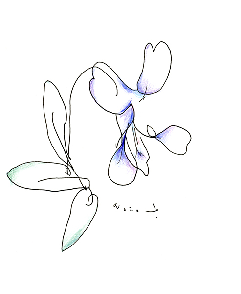 すみれ・The Violet