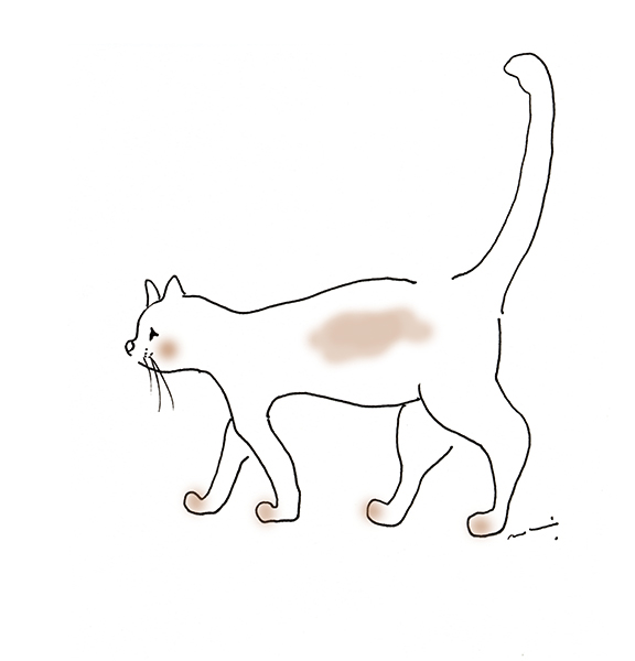 Walking Cat