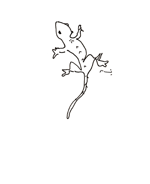 ちびやもりん 2026