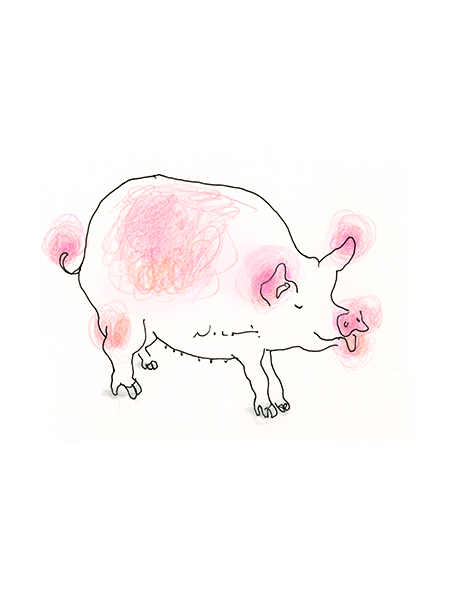 優しい、ぶたさん