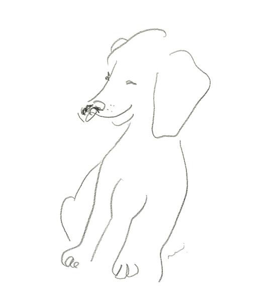 おじいさんになっても、僕をすきでいてくれる？