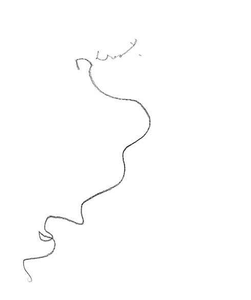 a curved line 2